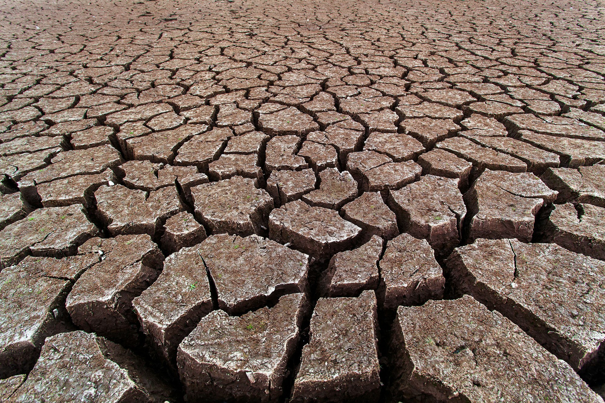 Cracked dry land without water.Abstract background.